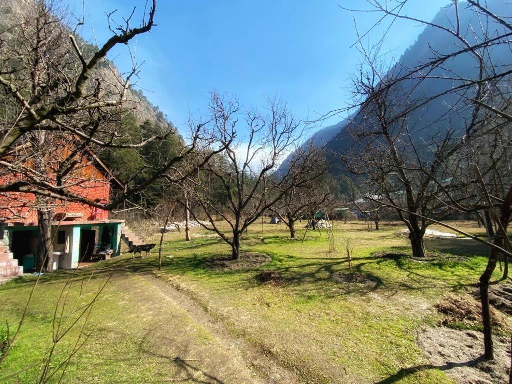 The Royal Orchard Kasol Hotell Exteriör bild