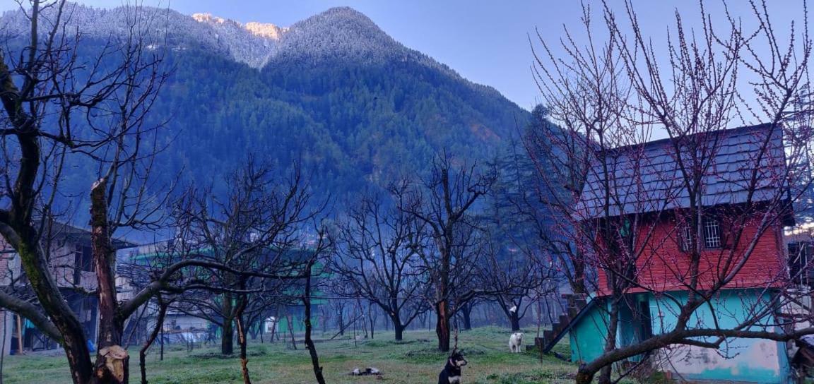 The Royal Orchard Kasol Hotell Exteriör bild